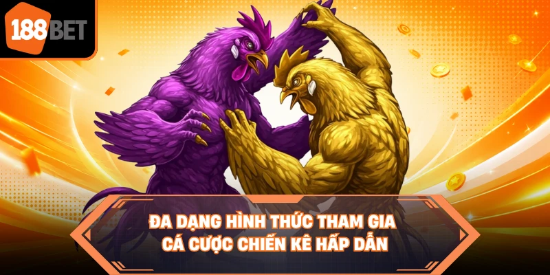 Đa dạng hình thức tham gia cá cược chiến kê hấp dẫn